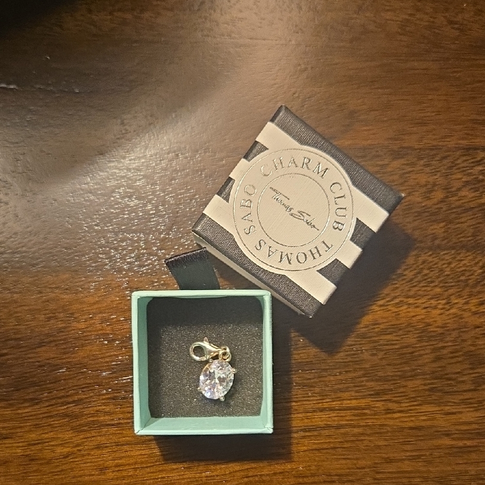 Thomas Sabo Gold and Silver Crystal Charm